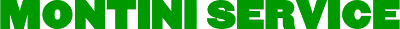 MONTINI SERVICE Logo